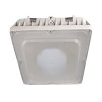 Vela 80-Watt Outdoor LED Canopy, White, 5000K