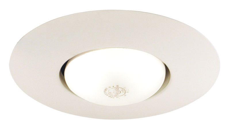 6" Open Frame Trim, BR30 Lamp