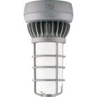 Vaporproof LED 13W,Ceiling, Frosted Gl Globe Diecast Gd