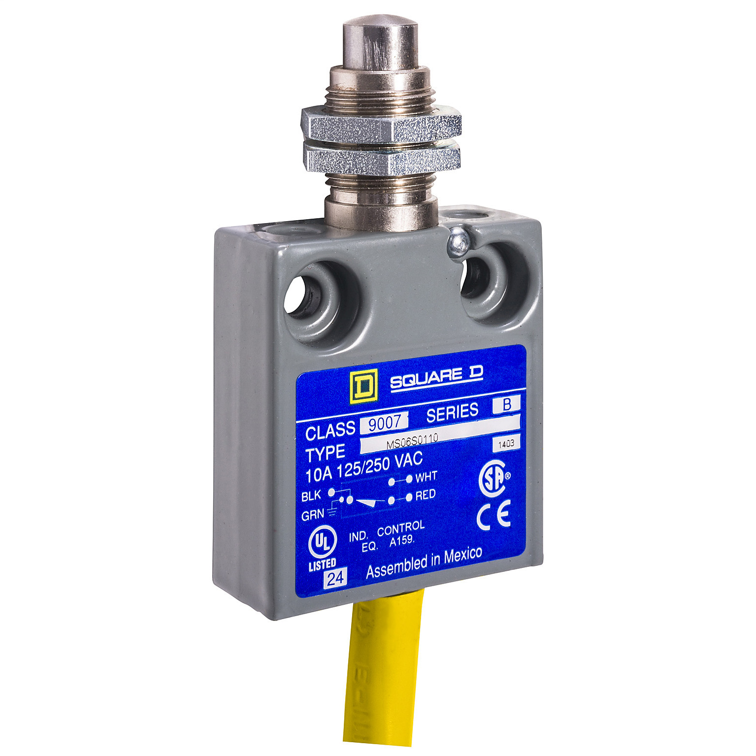 LIMIT SWITCH 240VAC 10AMP MS +OPTIONS