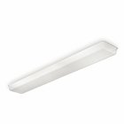 Replacement Lens: 48 inch Fixture/DMW Series, 49 3/4 inch Length, Diffuser Lens, Clear