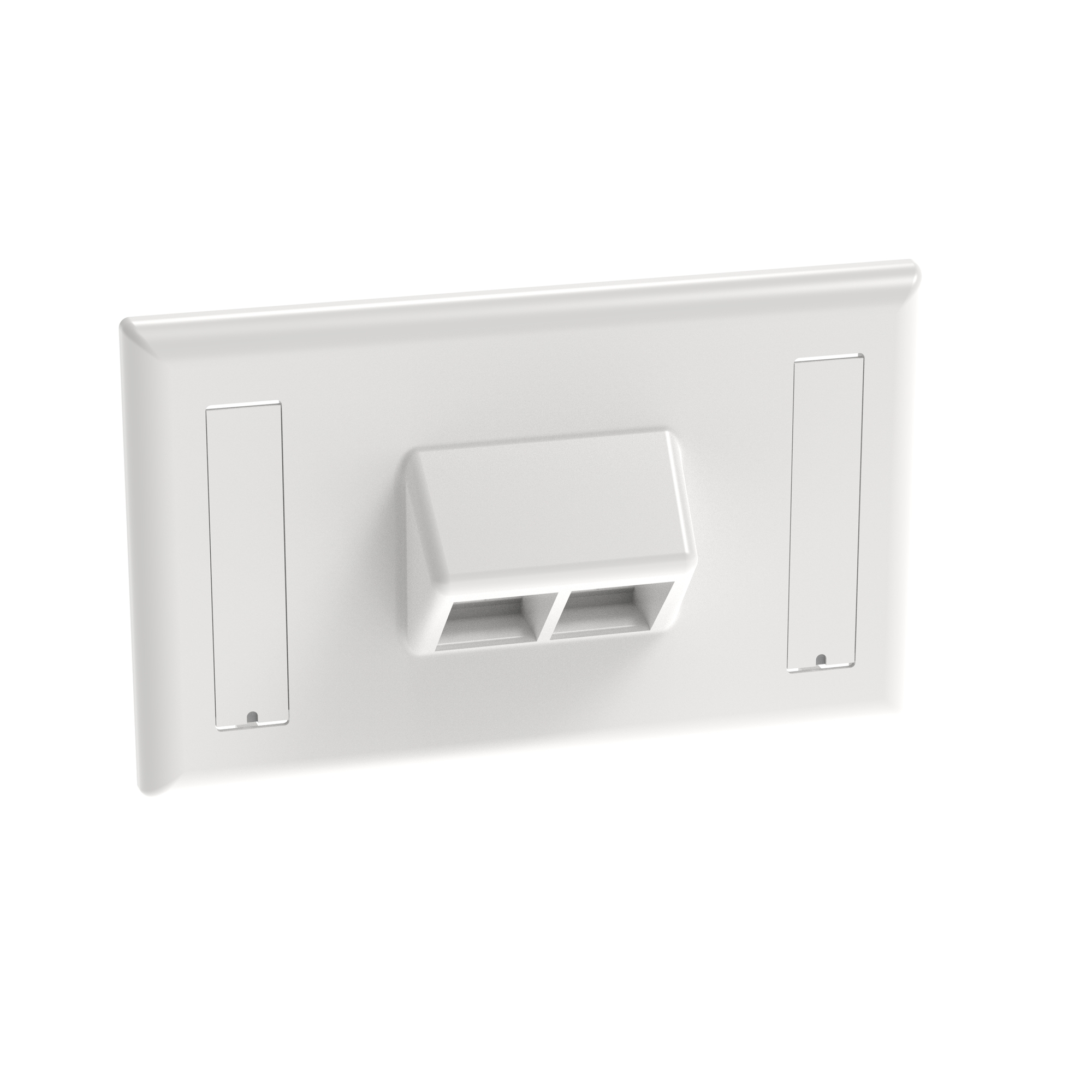 NetKey Faceplate, 2-Port, Horizontal, Sloped, White, Labels