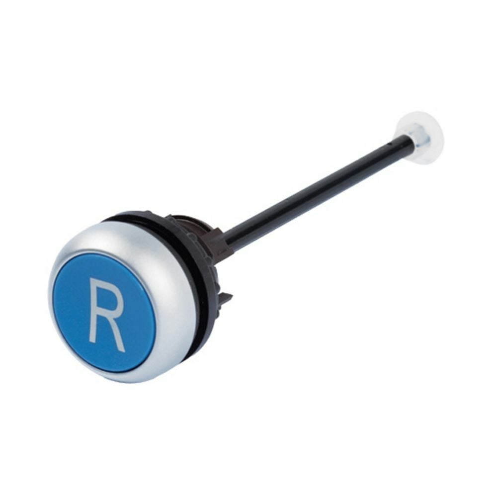 M22 Modular Pushbutton Through-the-Door Operator, 22.5 mm, Button, Button: Blue, Inscription: R/ X6, IP20