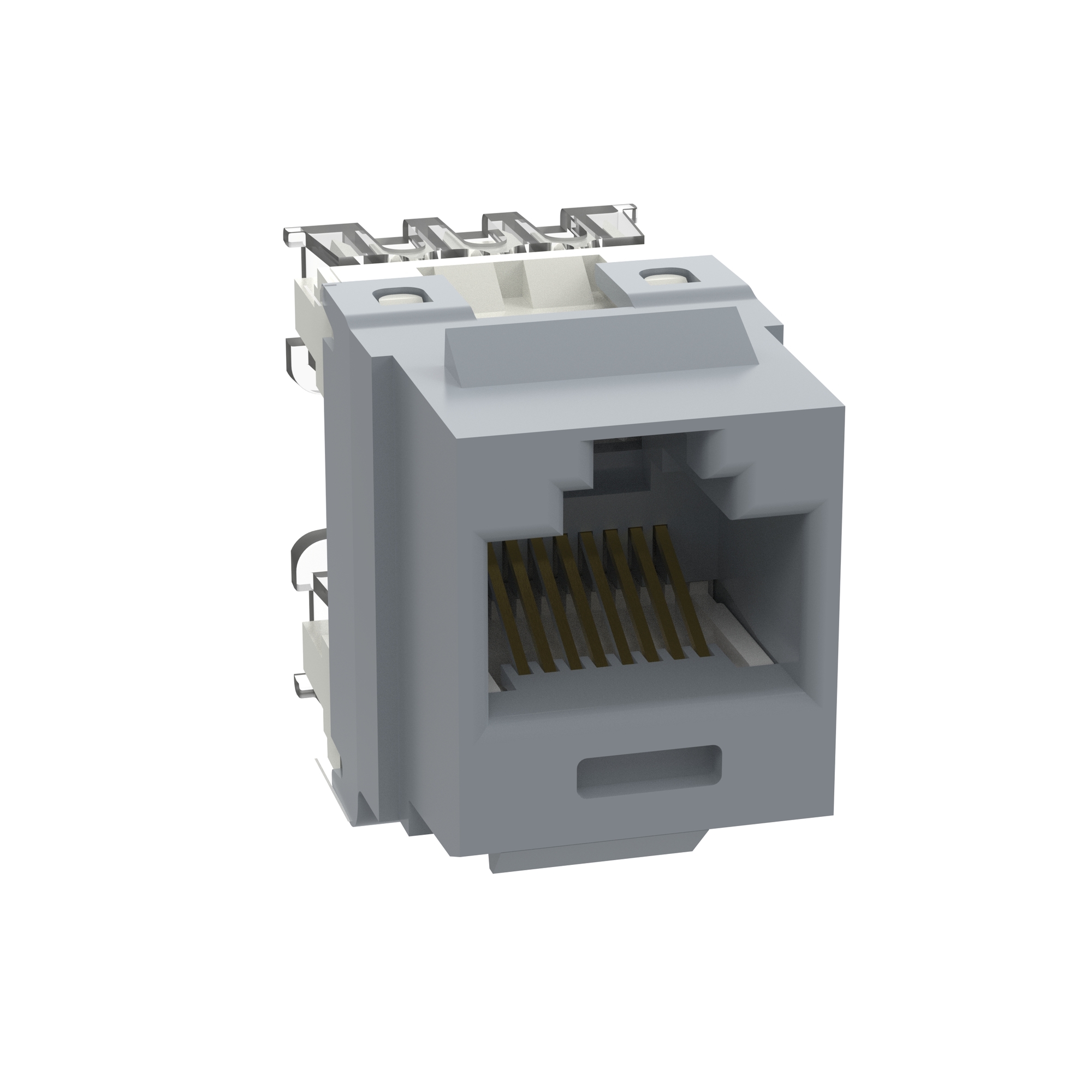 NK Cat 6 punchdown jack module - Interna