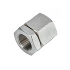 Stainless Steel 316 3 Pc Coupling 1-1/4"