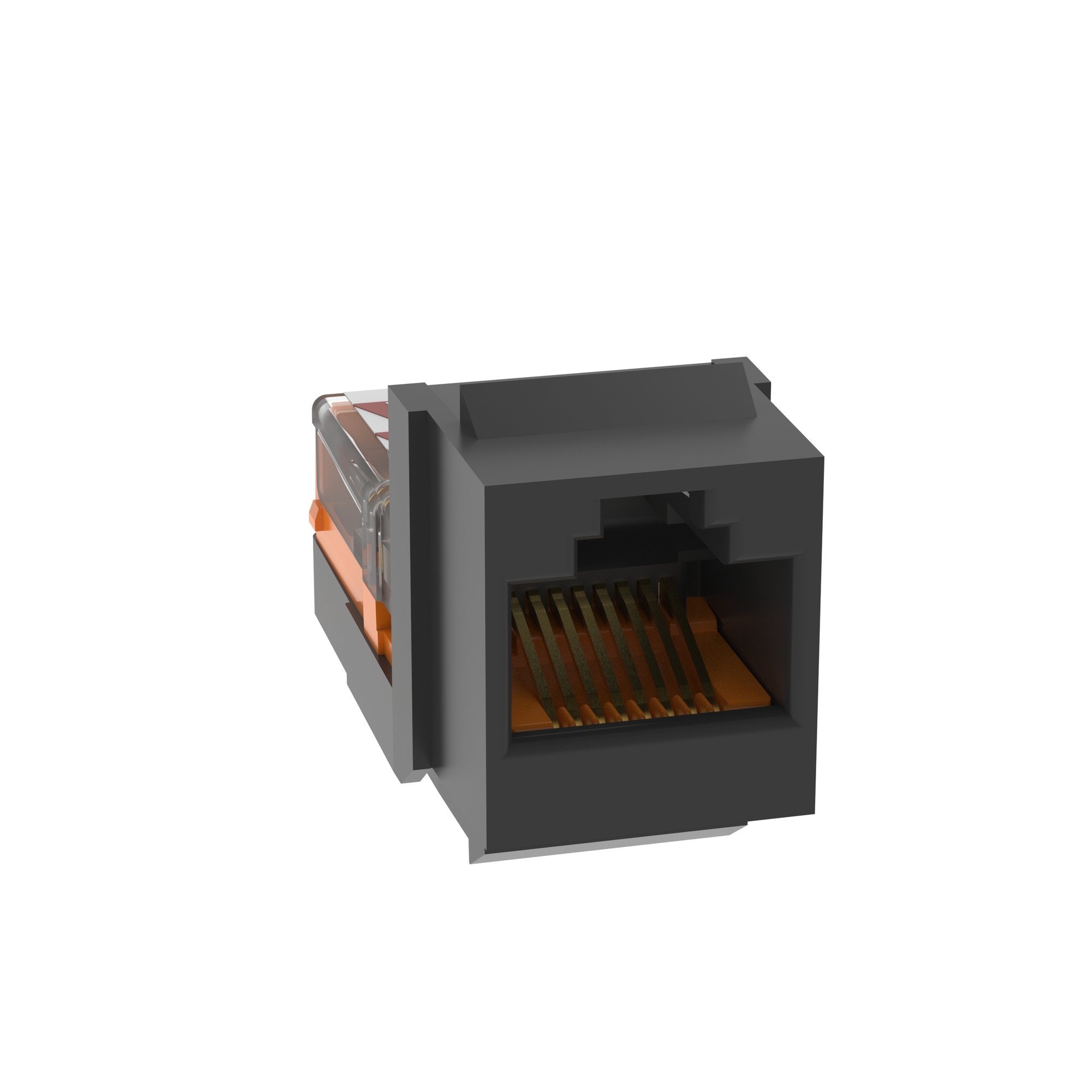 NetKey Cat 5e Leadframe Jack, Black