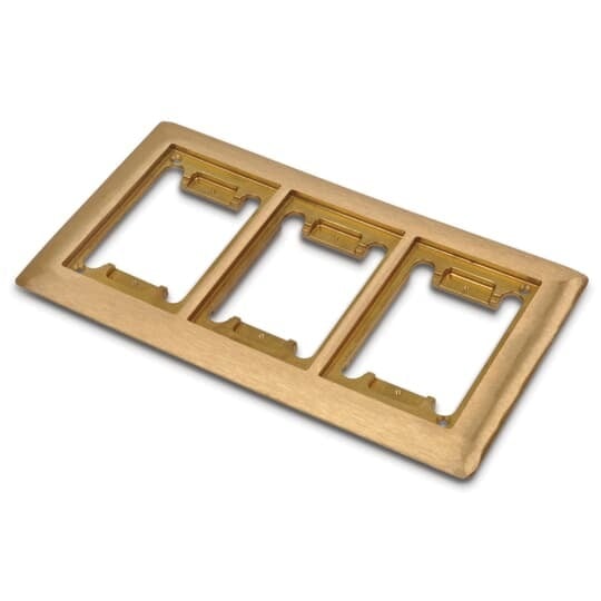 Three Gang Carpet Plate for Floor Boxes for Power and Communications, Length 10-5/8 Inches, Width 6-1/8 Inches, Brass