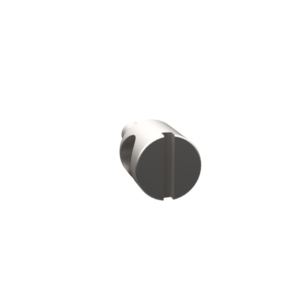 SS