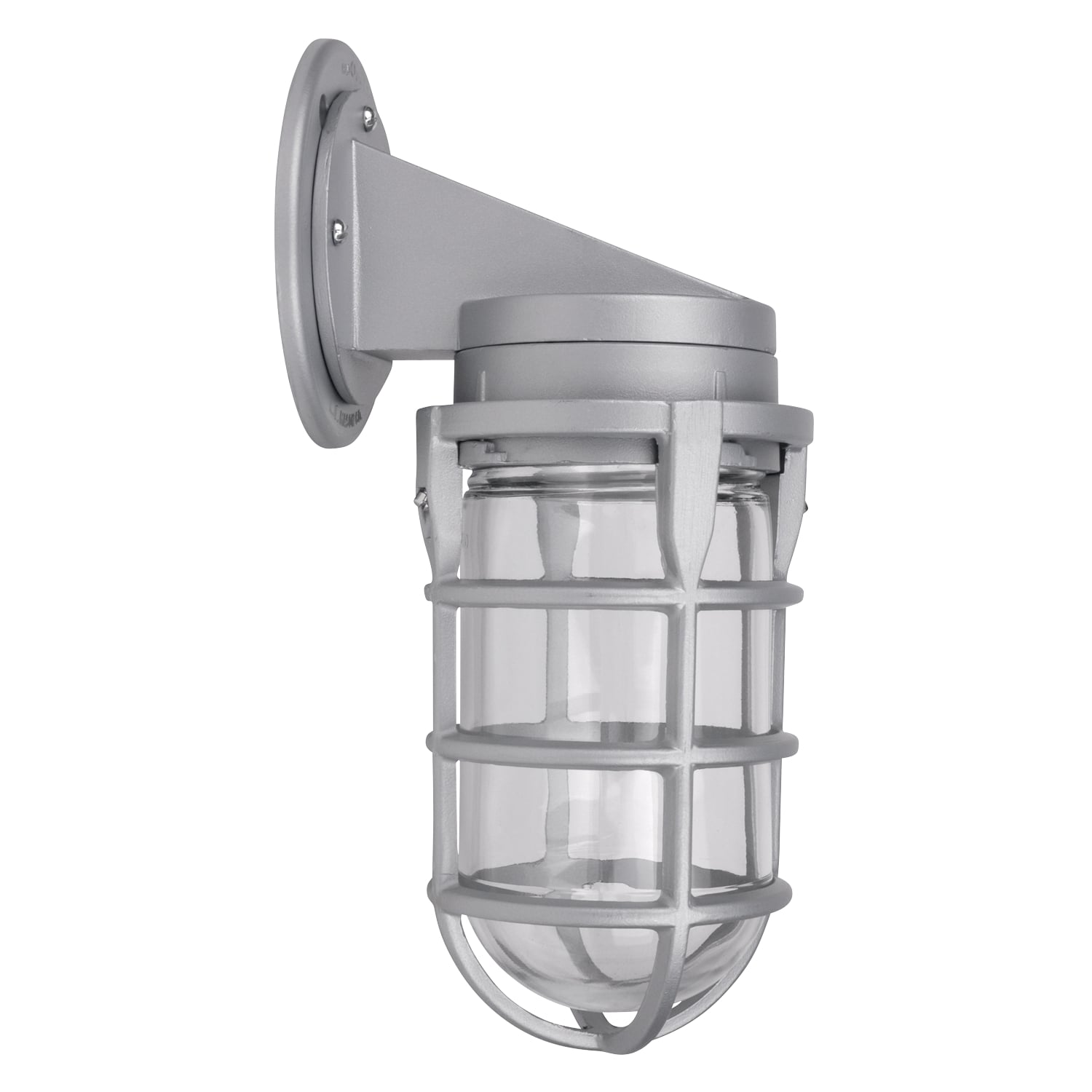 Wall Mount Cap with Adapter Plate and Globe, Aluminum, with Socket with Leads, Gasket, Screws, and Cast Guard, 100 Watt Maximum