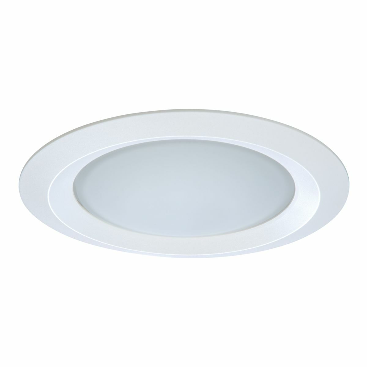 5" Frost dome glass lens, wet location, self-flange, Matte White