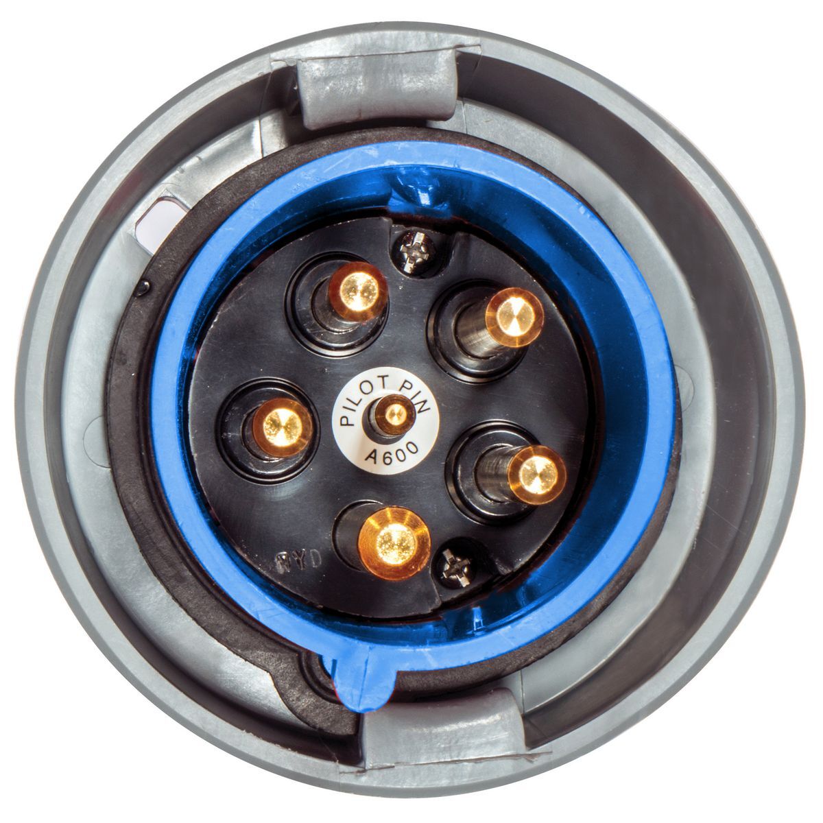 Heavy Duty Products, IEC Pin and Sleeve Devices, Industrial Grade, Male, Plug w/ Pilot Pin, 100/125A, 3 Phase Y 120/208V AC, 4-Pole 5-Wire  Grounding, Terminal Screws, Blue, 4X and IP69k