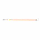 Fish and Glow Rod Set, 25-Foot, Extra durable, lightweight and available in a variety of lengths and flexibilities