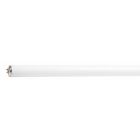 Retail Sales T12 High Performance, Long Life, Environmentally-Responsible LampsThese high performance lamps are ideal for applications where high lumens, long life and high CRI are required.