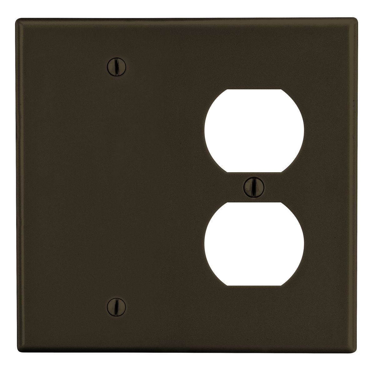 Wallplate, 2-Gang, 1) Duplex 1) Box Mount Blank, Brown