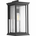 One-Light extra-large wall lantern with a Craftsman-inspired silhouette, Endicott offers visual interest to your home's exterior. The elongated frame is finished with clear seeded glass.