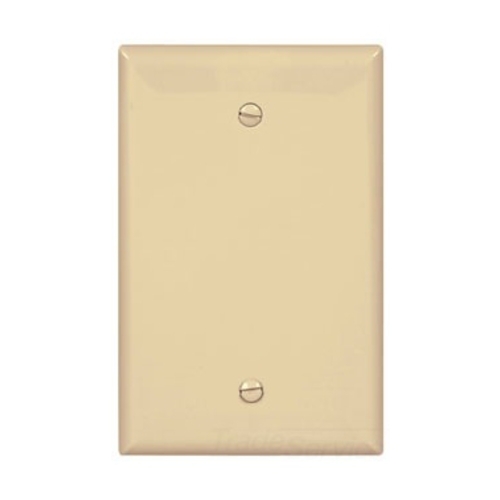 Eaton Blank wallplate, Box mount, Ivory, Blank Cutout, Polycarbonate, Single- gang, Mid-size