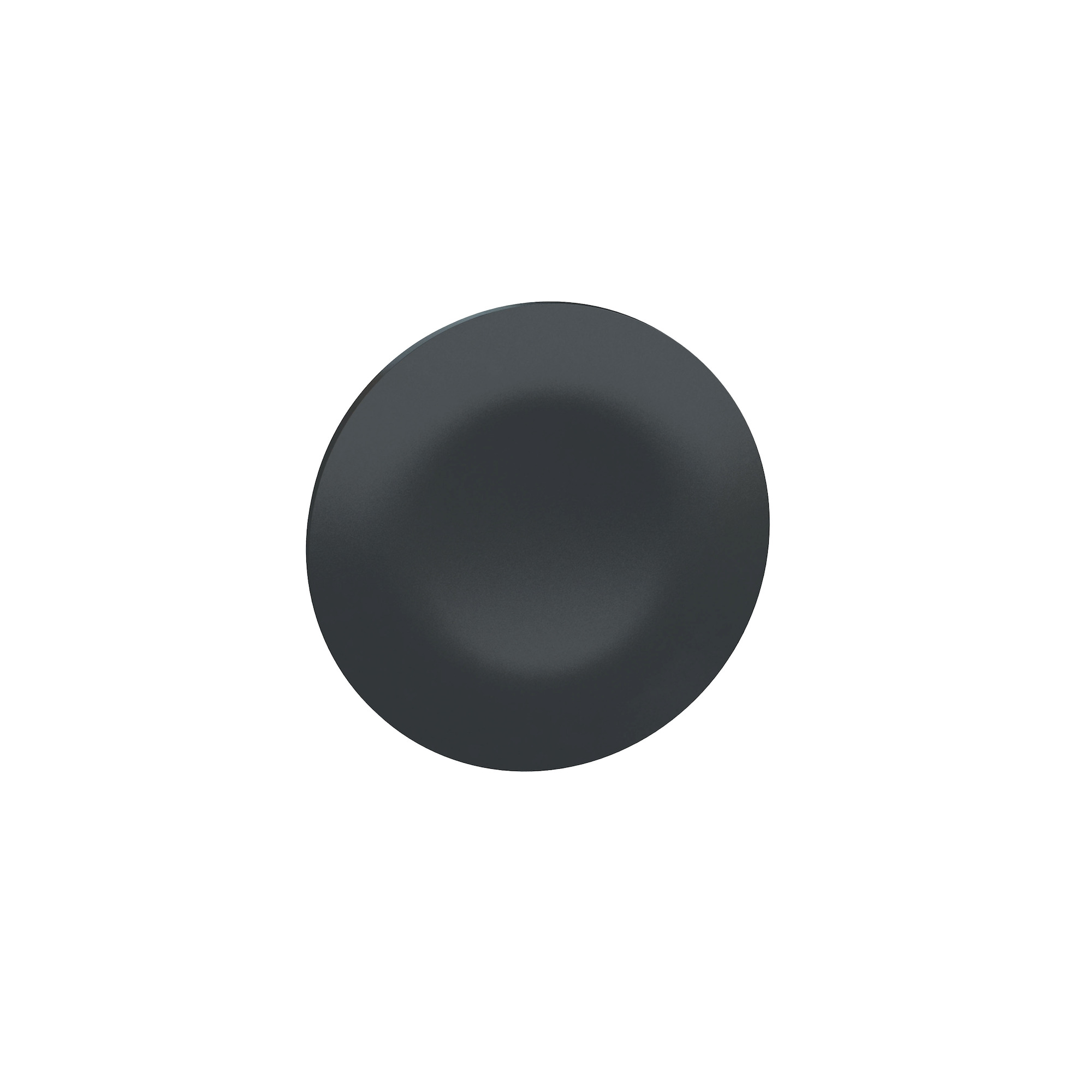 black cap unmarked for rectangular multiple-headed pushbutton 22
