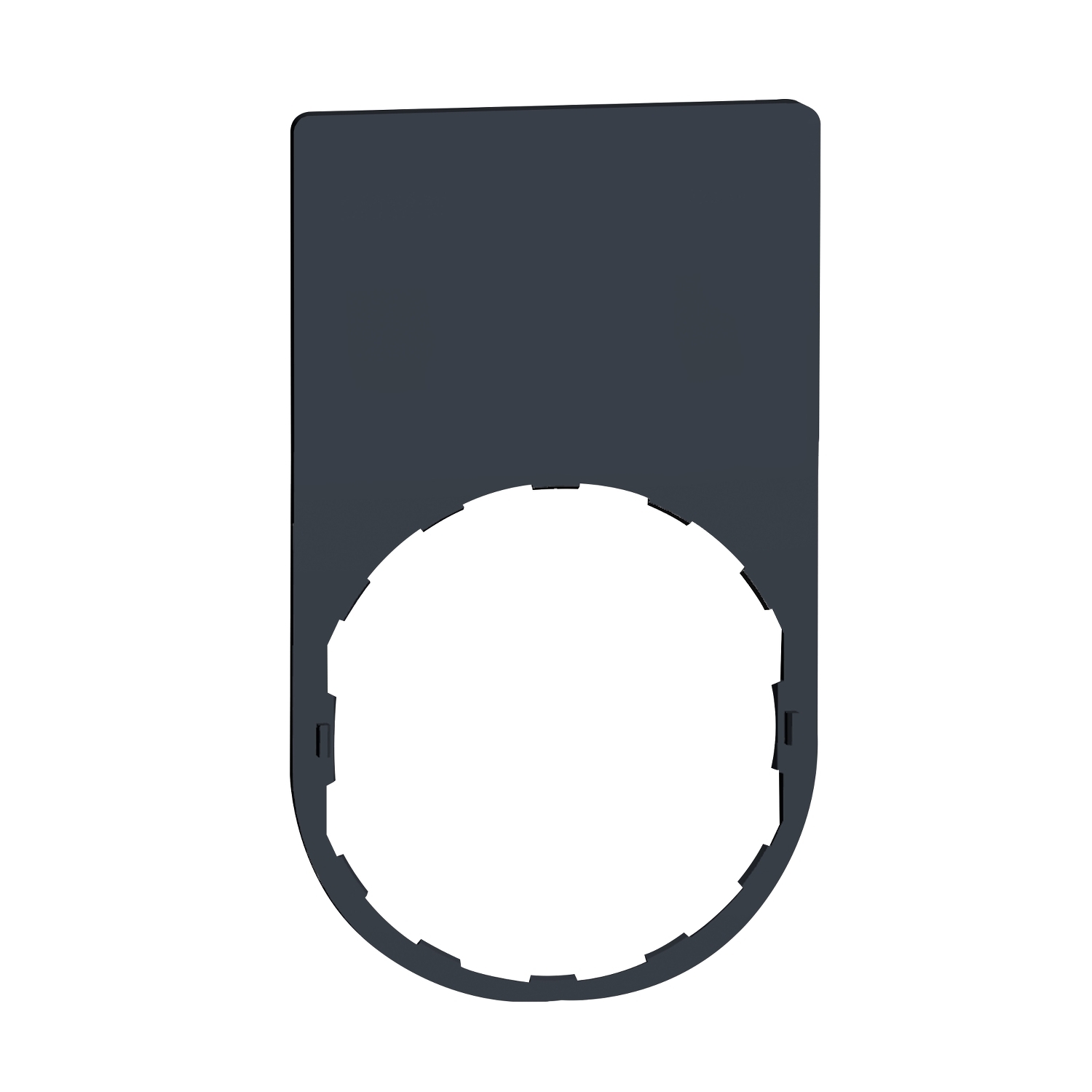 Legend plate 30x50 mm, Harmony XB5, plastic