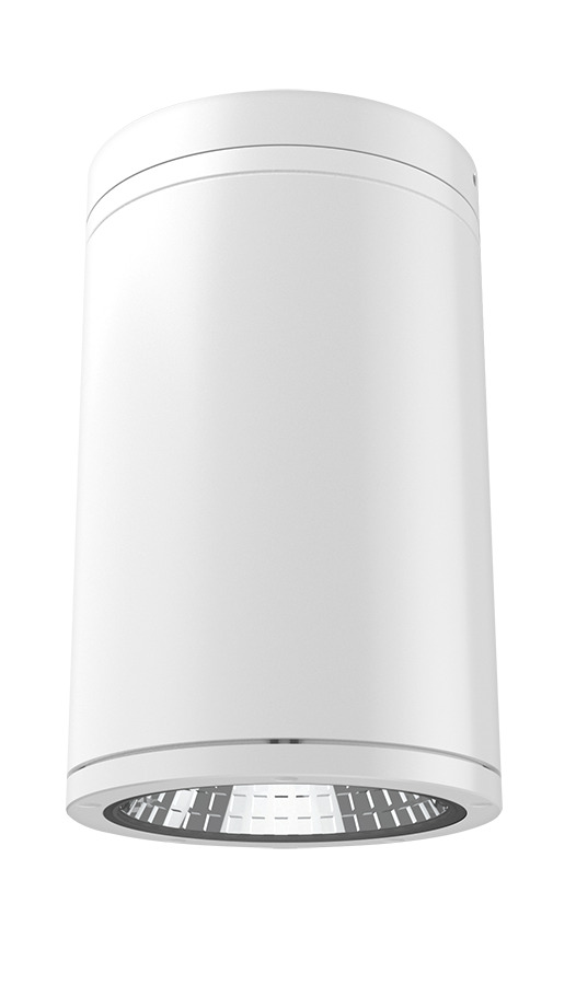 CYL34 6" 30W 2910LM 5CCT FA CRI90 70D 0-10V SURFACE+PENDANT WHITE CLEAR LENS