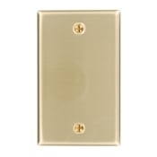 1-Gang No Device Blank Wallplate, Standard Size, Box Mount, Brass
