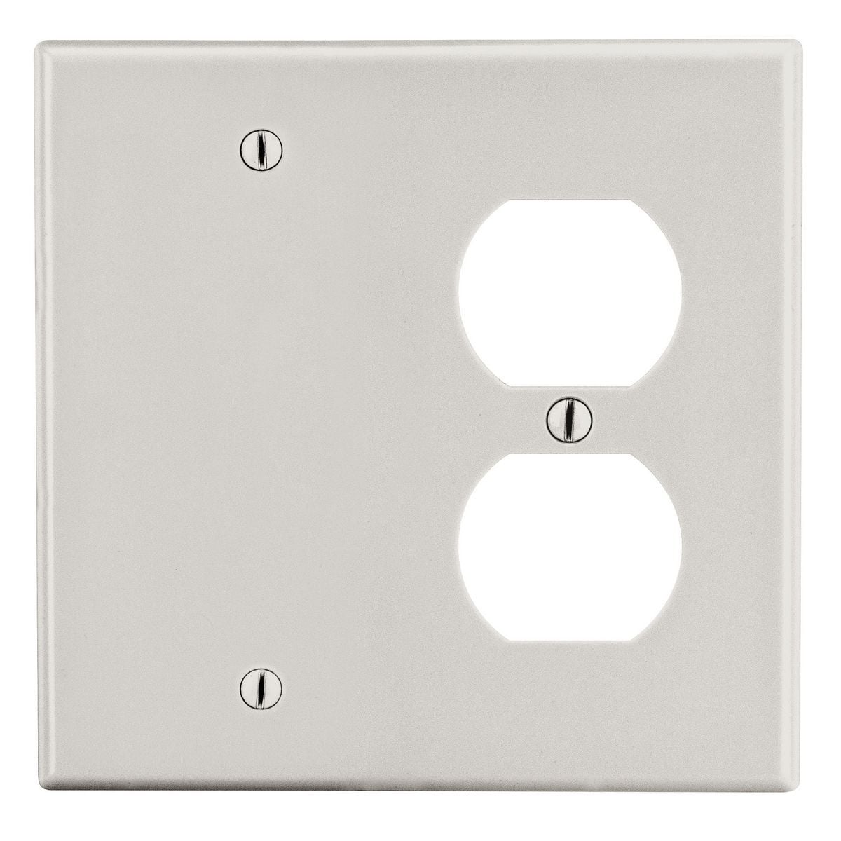 Wallplate, 2-Gang, 1) Duplex 1) Box Mount Blank, Light Almond