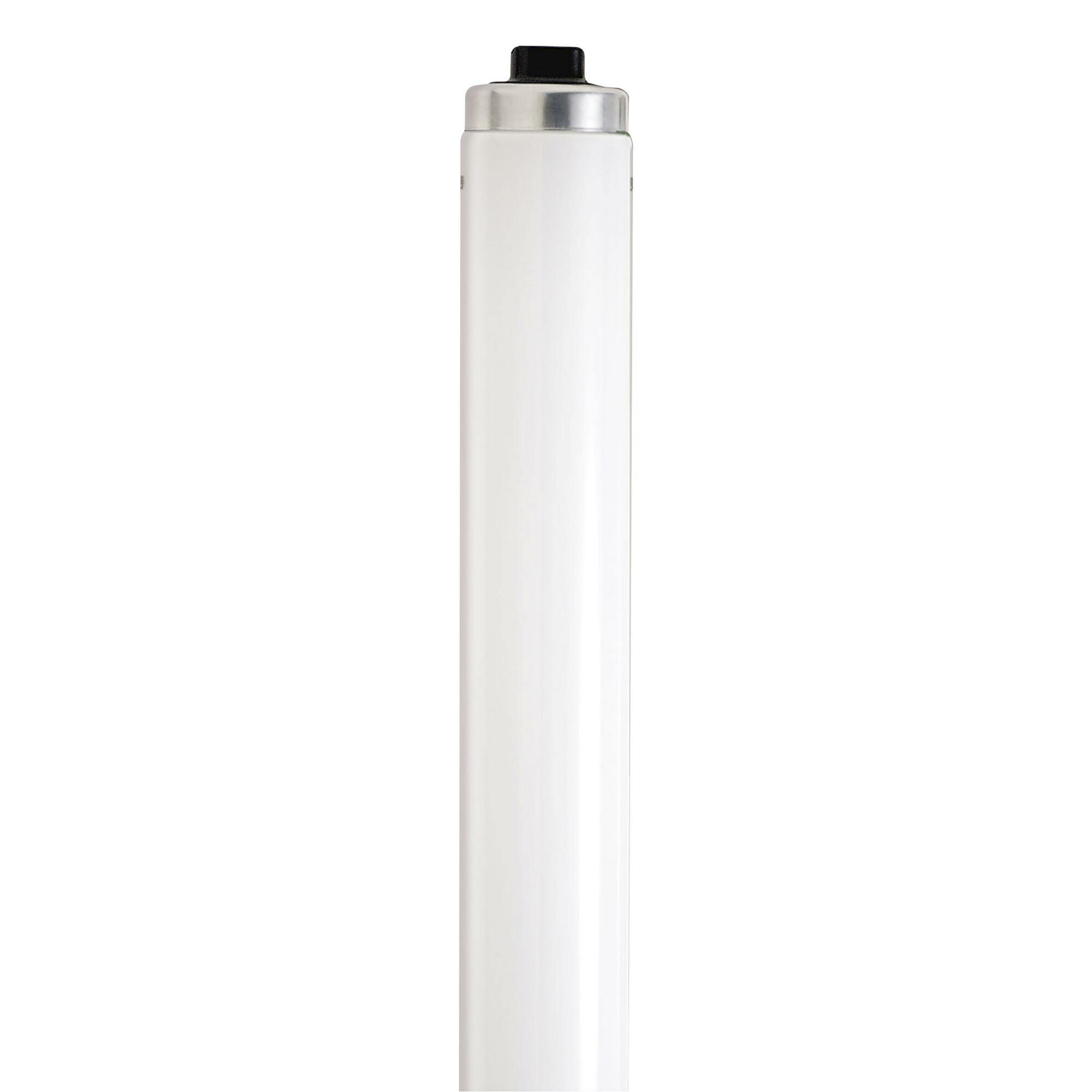 25 Watt - 33 Inch T12 - Medium Bi-pin Base