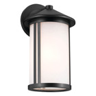The Lombard 12.75" 1 Light Outdoor Wall Light is a modern industrial beauty. Sleek, double vertical lines and a refined Black finish complement a gorgeous Etched Seeded Glass shade to give you simple and clean lighting.