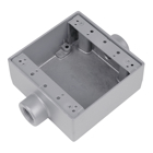 1/2 Inch Shallow 2 Gang Device Box, Die Cast Aluminum, Thru-Feed, 2 Hole, Raintight When Used with Appropriate Cover