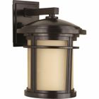 Medium wall lantern with etched umber linen glass. Includes dark sky shield for full cut-off illumination or remove for a traditional lighting effect.