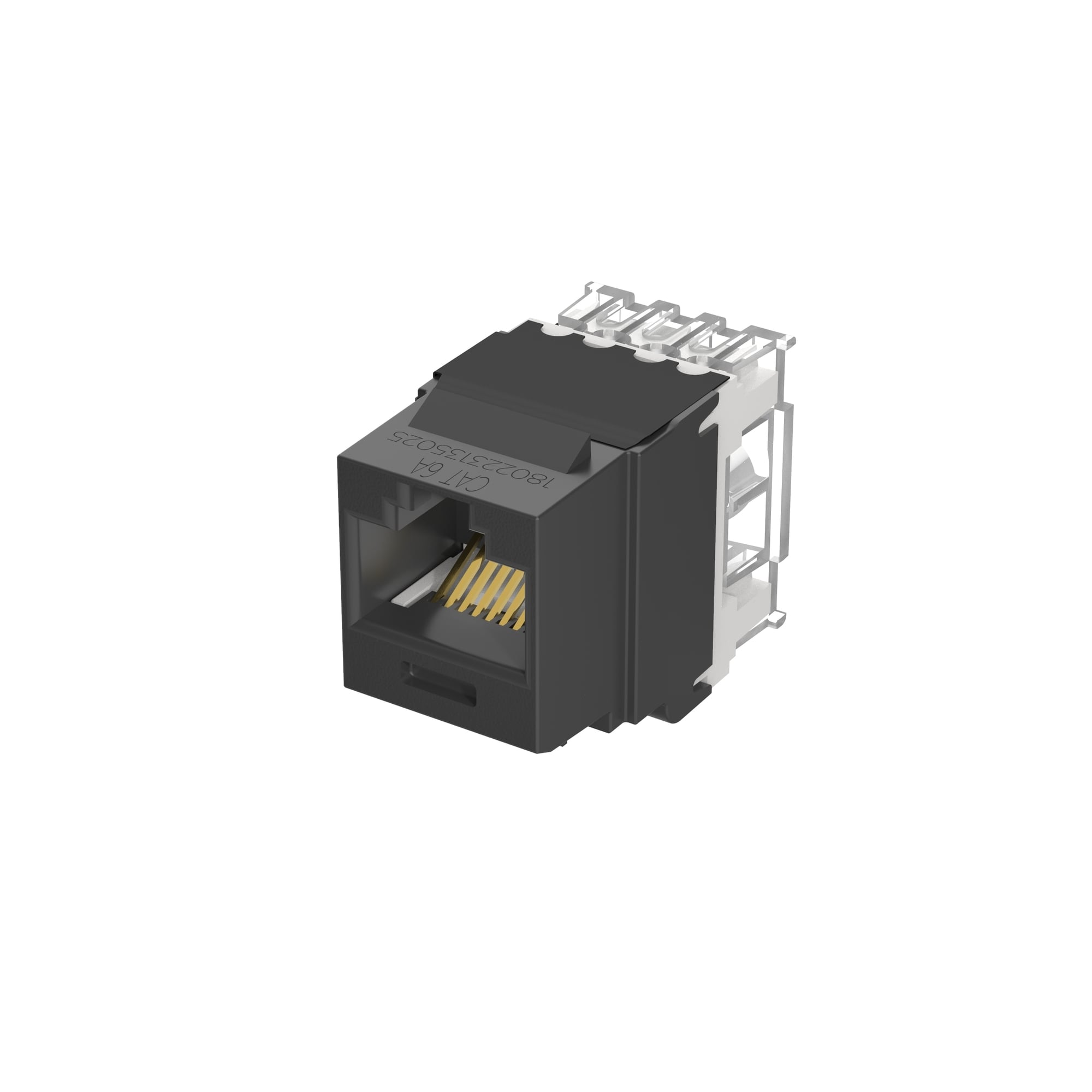 Category 6A NetKey Punchdown Module, BL 