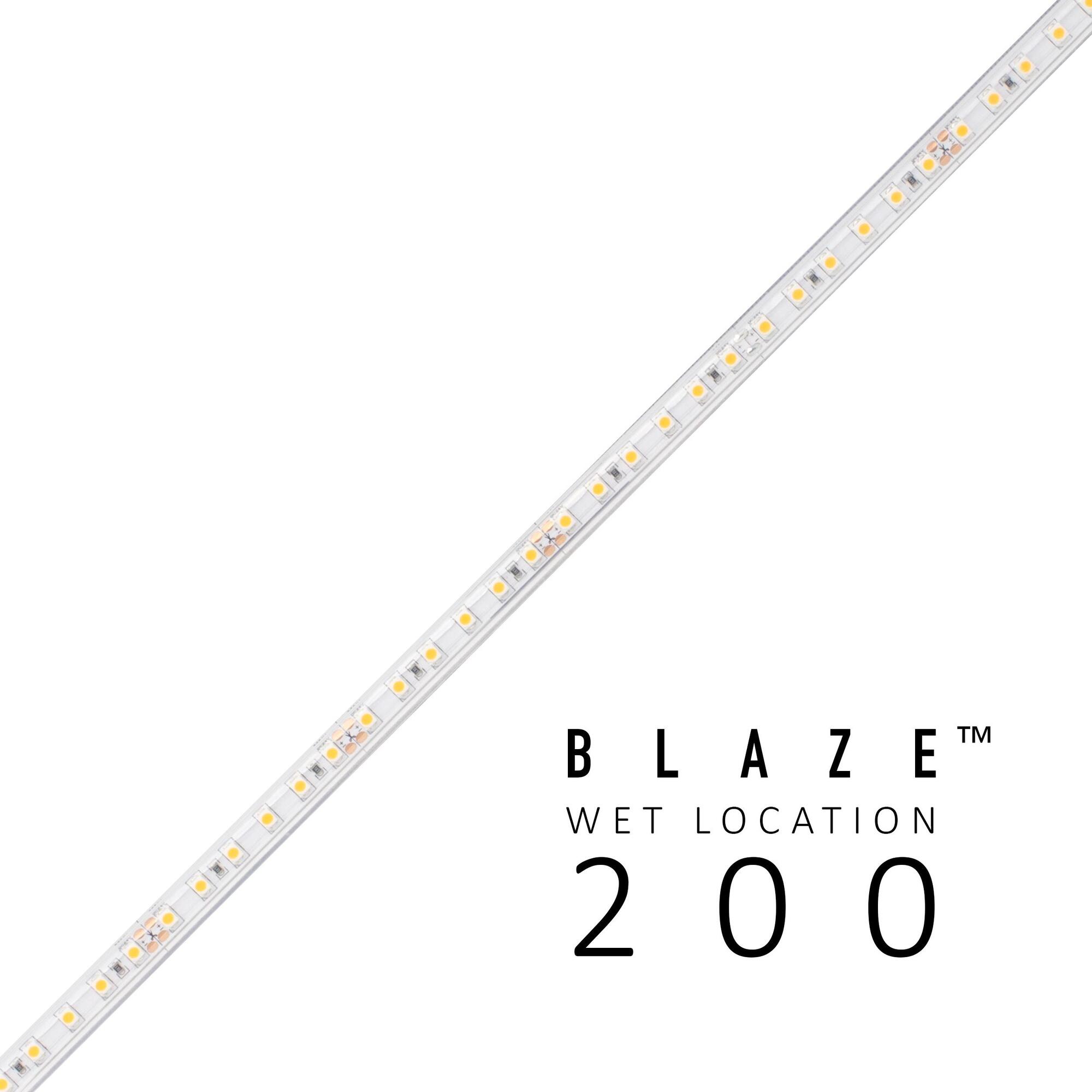 BLAZE 200 Wet Location Strip Light, 12V, 5000K, 16.4 ft. Spool