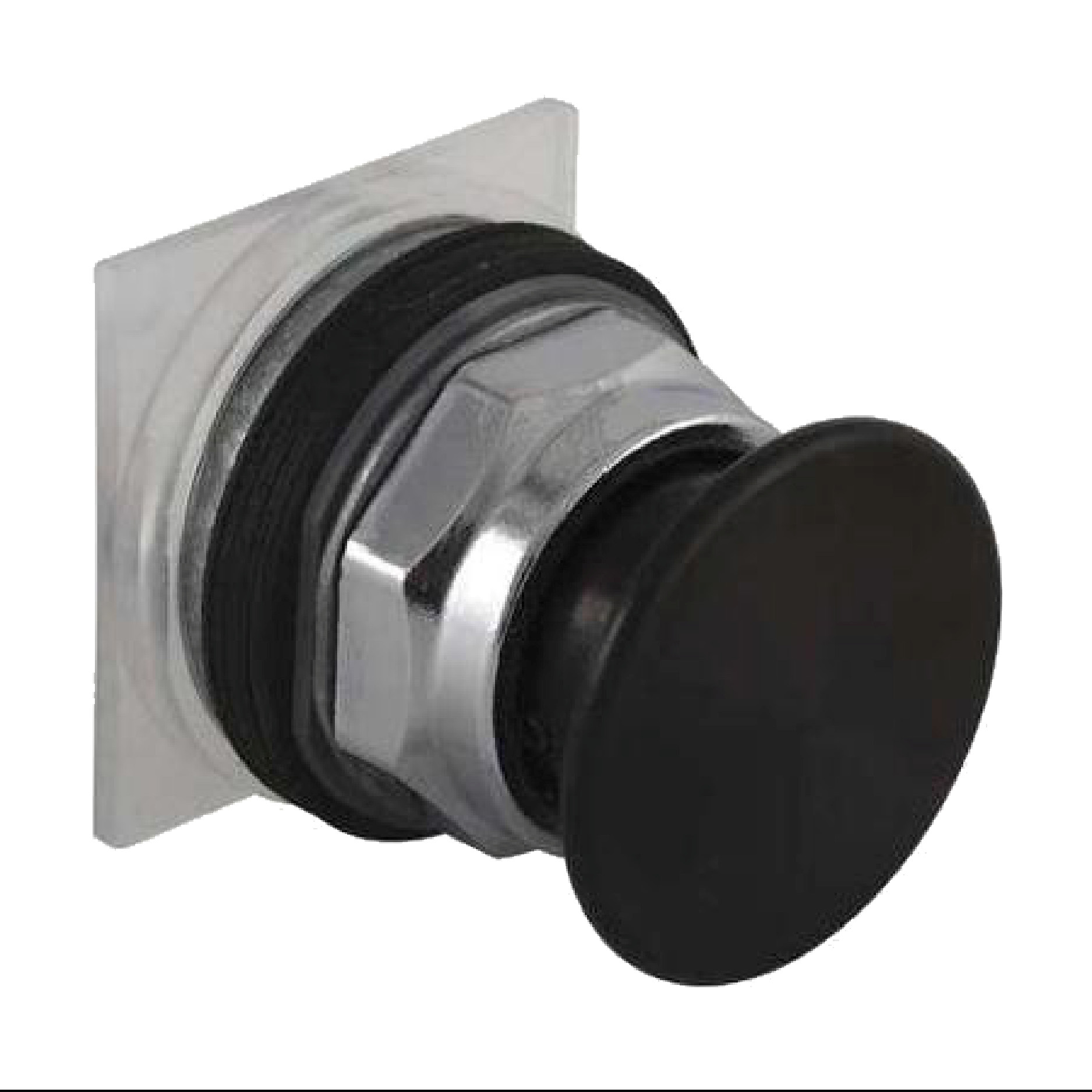Momentary Push Button