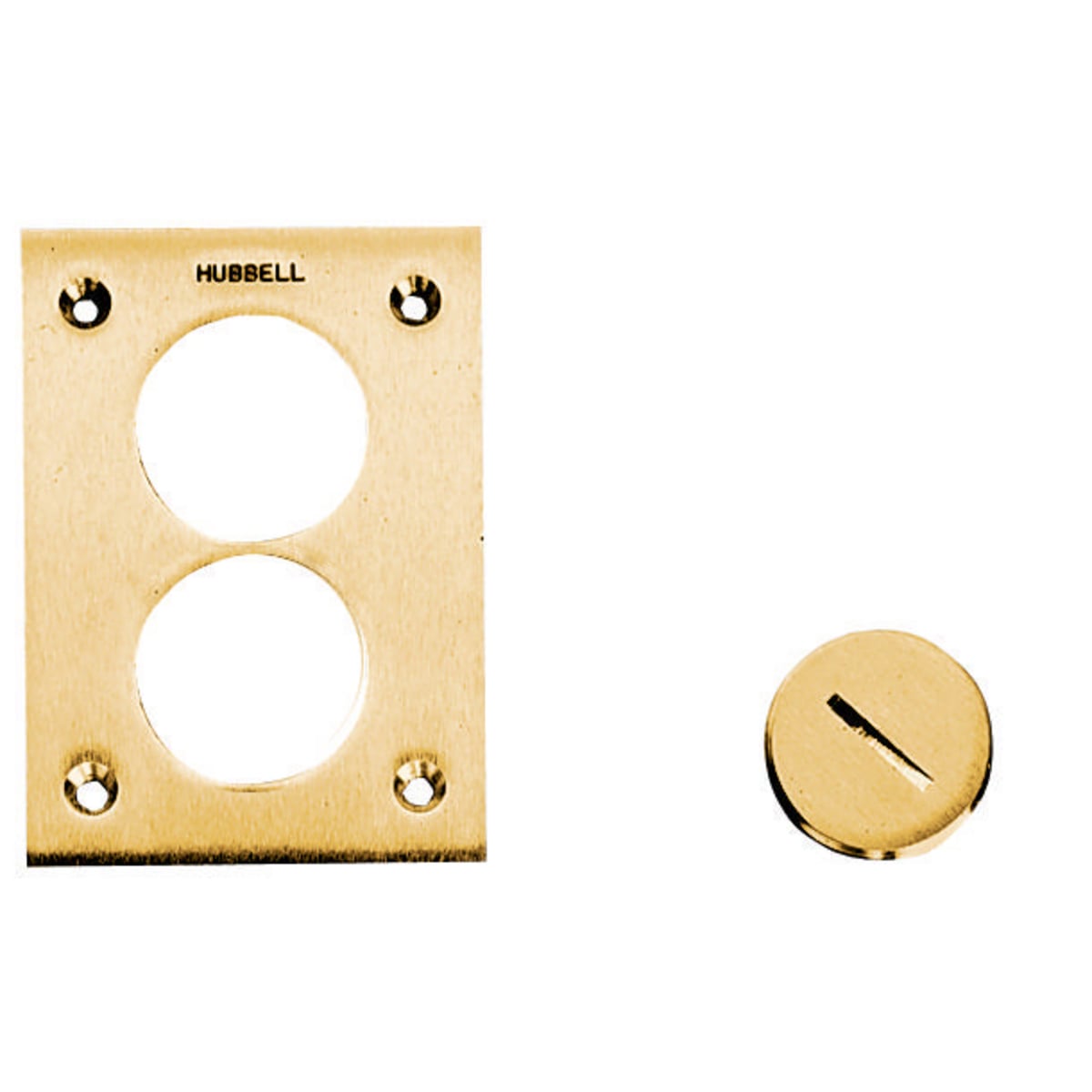 Floor and Wall Boxes, Floor Boxes, Flush Plugs, Crown Plugs and Flush Cap Rings, Flush, 2 1/8", Brass
