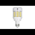LED HID TYPE B ED17 Lamps