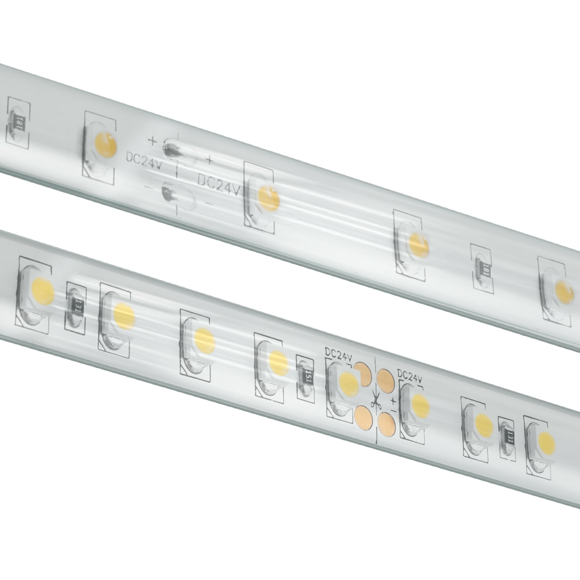 BLAZE 300 Wet Location Strip Light, 24V, 5000K, 16.4 ft. Spool