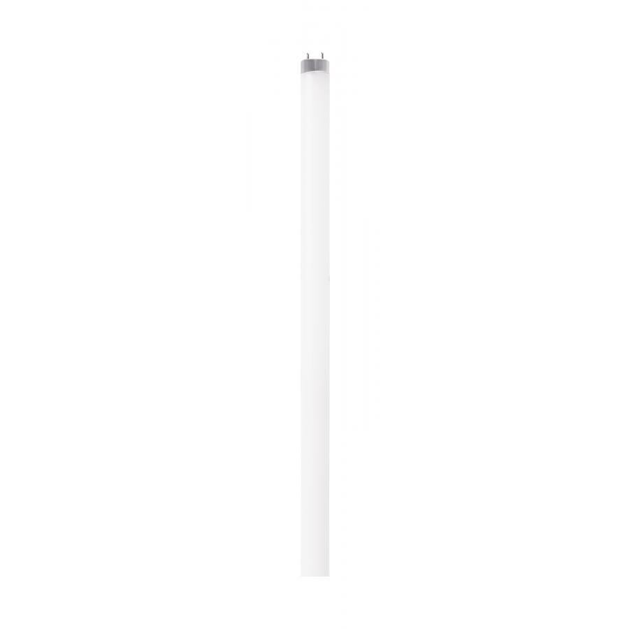 8 Watt T8 LED - 5000K - 120-277 Volts - Medium Bi Pin Base - Type C - External Driver Required
