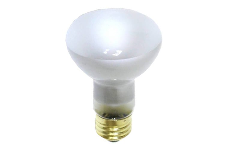 GE Indoor Floodlight R20