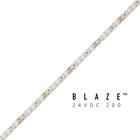 BLAZE 200 LED Tape Light, 24V, 3000K, 16.4 ft. Spool