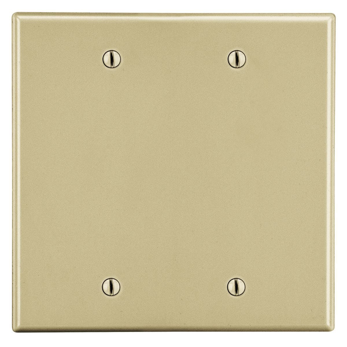 Wallplate, 2-Gang, 2 Box Mount Blank, Ivory