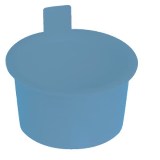 1 Inch Schedule 40 Blue Plug