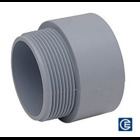 PVC Terminal Adapter, 1 Inch