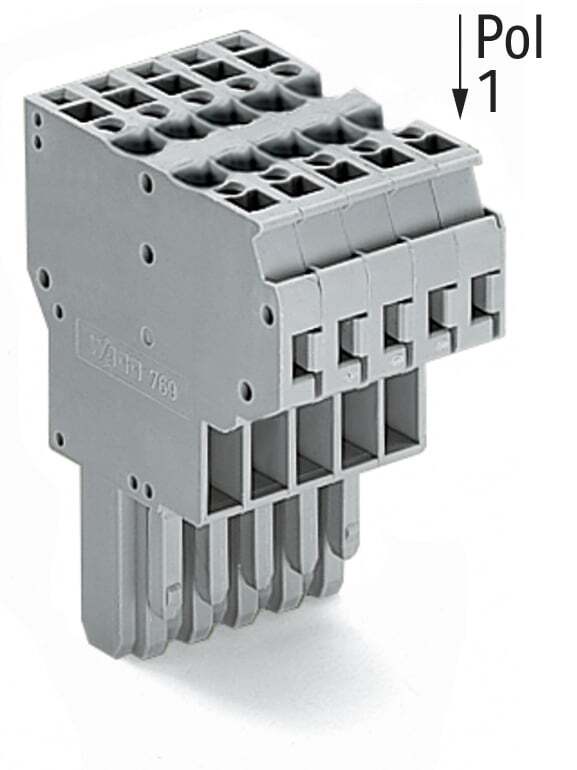 2-conductor female connector; CAGE CLAMP; 4 mm; Pin spacing 5 mm; 5-pole; coding finger; 4,00 mm; gray