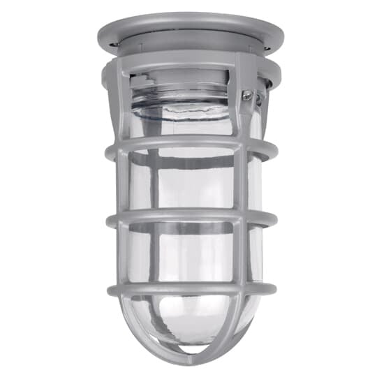 Ceiling Mount with Adapter Plate and Globe, Aluminum, 100 Watt Maximum, Sockets with Leads, Gasket, Screws, and Cast Guard