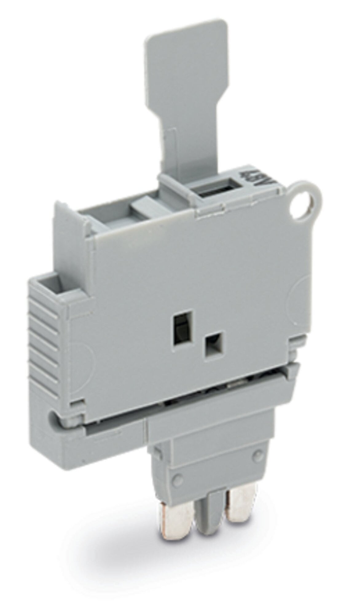 Fuse plug; with pull-tab; for 5 x 20 mm miniature metric fuse; with indicator lamp; 30 - 65 V; 6.1 mm wide; gray