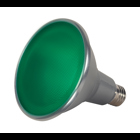 PAR LED, Designation: 15W PAR38 LED - 40' Beam Spread - Medium Base - 120V - Green