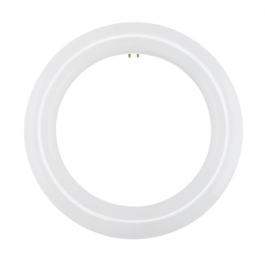 LED Circline - 11 Watt - T9 - 6500K - G10Q Base - 120-277 Volts - Ballast Bypass