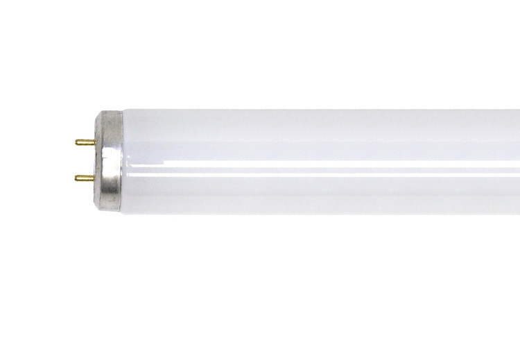 GE Ecolux, 30 WTT, 2200 LM, 4100 KV, 60 CRI, 1.5 IN Diameter, 36 IN Length, Medium Bi-Pin (G13) Base, 18000 HR Average Life