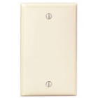 1-Gang No Device Blank Wallplate, Standard Size, Thermoplastic Nylon, Box Mount, Ivory