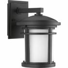 Small wall lantern with etched white linen glass. Includes dark sky shield for full cut-off illumination or remove for a traditional lighting effect.