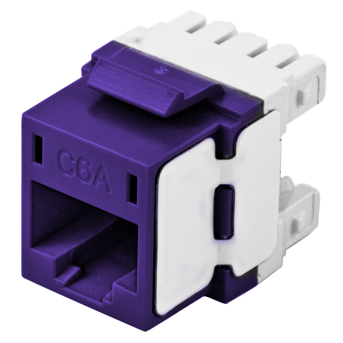 Jacks, Cat6a, Universal Wiring, Purple